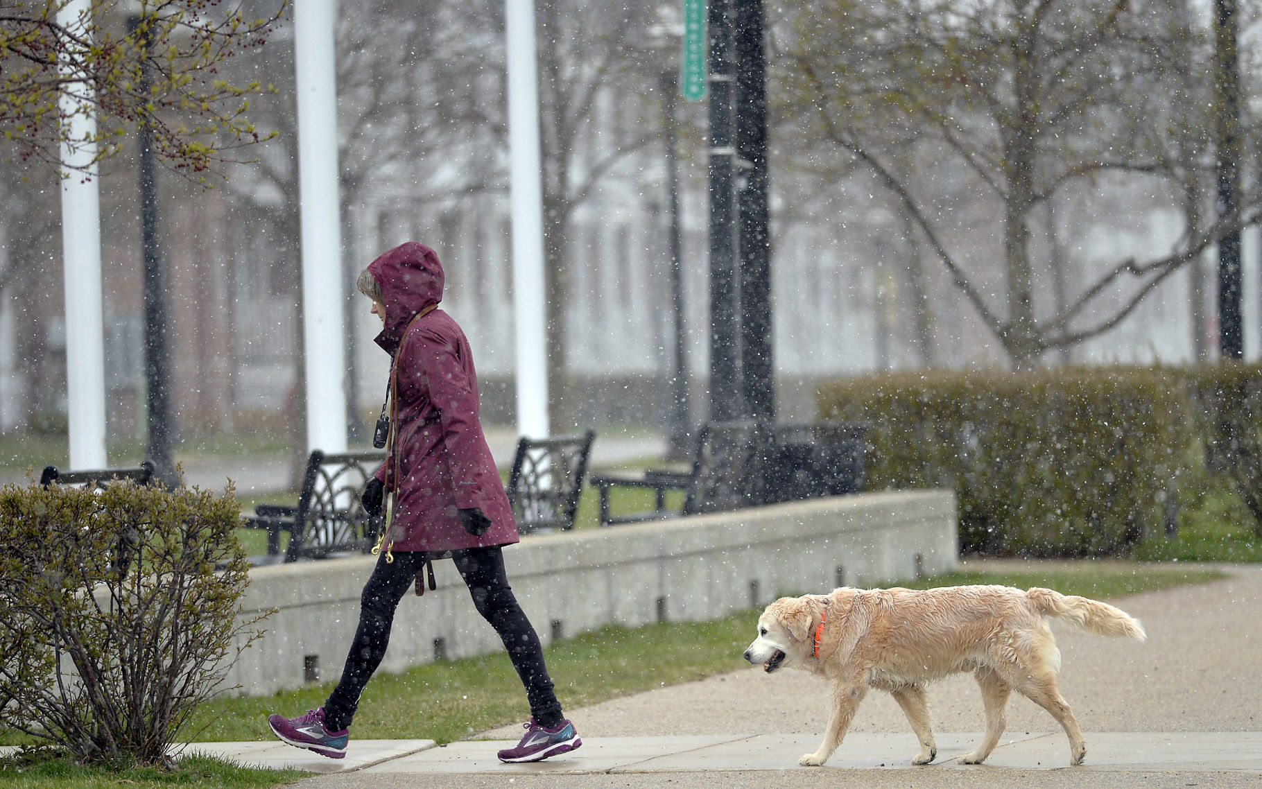 SNOW WEATHER FEATURES